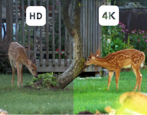 Two images showing the difference between the security camera's HD and 4K quality view